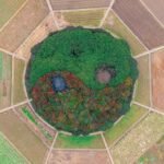 Pexels Snow Z 6840604 150x150