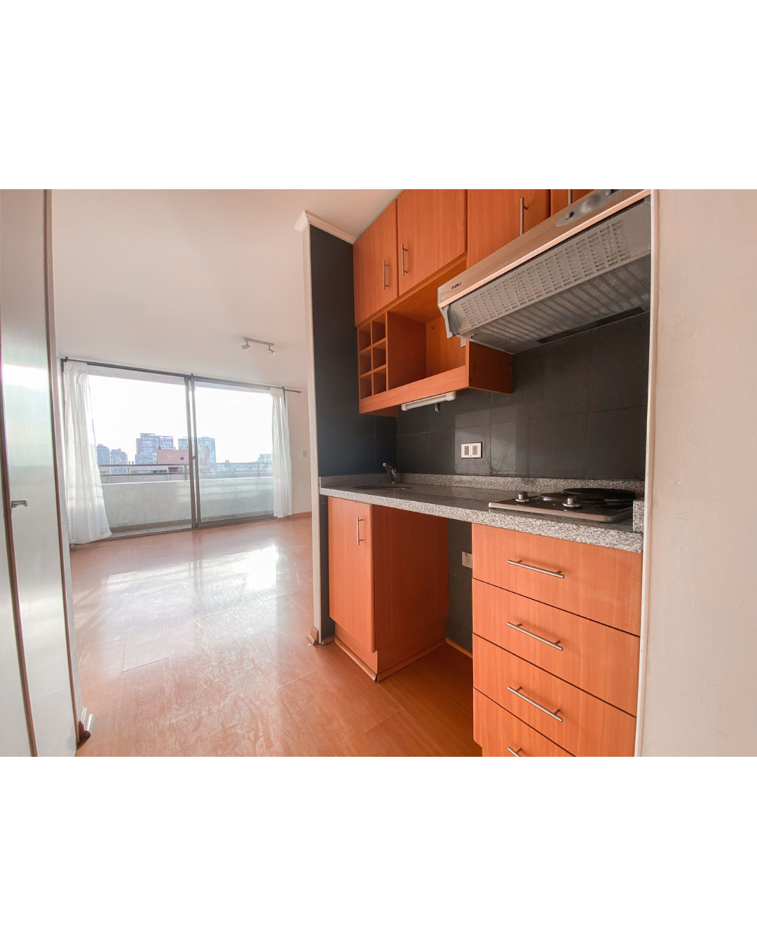 museo bellas artes santiago rm estudio, 1b museo bellas artes santiago rm estudio, 1b